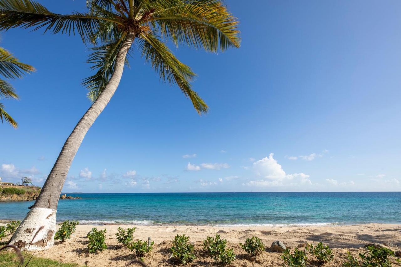 Limetree Beach Resort By Club Wyndham Bolongo Eksteriør bilde